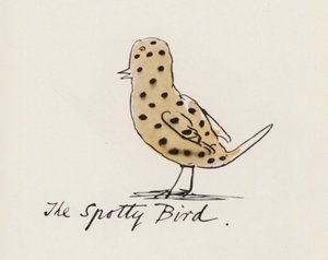 Edward Lear, Kuş Kitabı: Sivilceli Kuş (renkli taş)