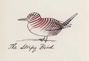 Edward Lear, Kuş Kitabı: Çizgili Kuş (renkli taş)