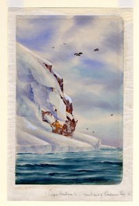 Cape Wadsworth, Coulman Adası (kağıt üzerinde wc) by Edward Adrian Wilson