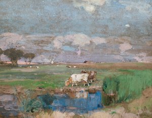Suffolk Meraları
