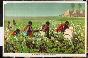 'Empire Trade is Growing' serisinden bir Sudan Pamuk Tarlası (renkli lito) by Edward Barnard Lintott