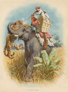 Bir Orman Dövüşü (renkli litho)