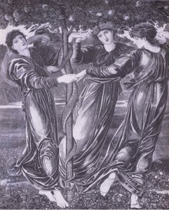 Hesperides