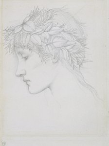  by Edward Coley Burne Jones
