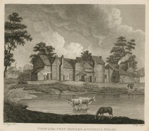 Tothhill Fields, Londra