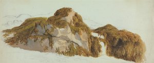 Yosunla Kaplı Kayaların İncelenmesi by Edward Duncan