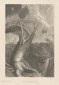 kasırga by Edward Gallaudet, after Thomas Cole