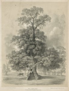 Hyde Park, Londra