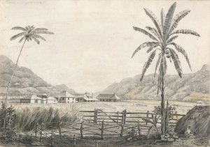 Hall-head Sugar Plantation'dan Bir Görünüm, Jamaika by Edward Kennion