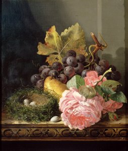Bilinmeyen resim