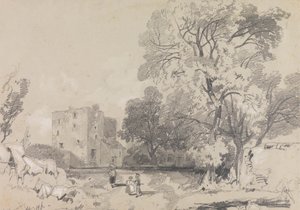 Harap Bir Kule Ev by Edward Lear