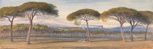 Cannes'ın Üzerindeki Çam Ormanlarından Bir Görünüm by Edward Lear