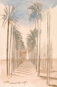  by Edward Lear