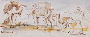 Develer by Edward Lear