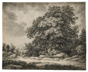 Orman Manzarası by Edward Lear