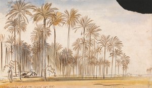  by Edward Lear
