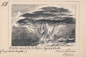Lübnan Dağı, Suriye - Bir sedir koyu yeşil gölge katmanlarını yaydı by Edward Lear