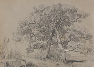 Kuzey Stoke. 21 Ekim 1834. by Edward Lear