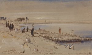  by Edward Lear