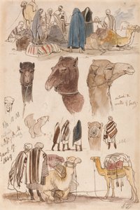  by Edward Lear