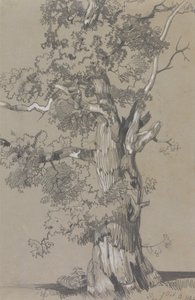 Parham, Ekim 13.1834 by Edward Lear