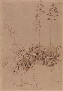  by Edward Lear