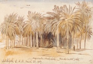  by Edward Lear