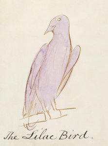 Çizgi Roman Kuşlarının On Altı Çiziminden Leylak Kuşu (kağıt üzerine kalem ve mürekkep wc) by Edward Lear