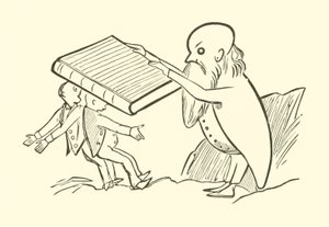 Yonghy-Bongy-Bo
