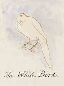 Beyaz Kuş, Çizgi Roman Kuşlarının On Altı Çiziminden (kağıt üzerine kalem ve mürekkep wc) by Edward Lear