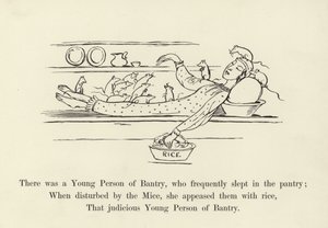 There was a Young Person of Bantry, who frequently slept in the pantry  by Edward Lear