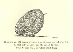 There was an Old Person of Brigg, who purchased no end of a Wig  by Edward Lear