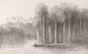  by Edward Lear