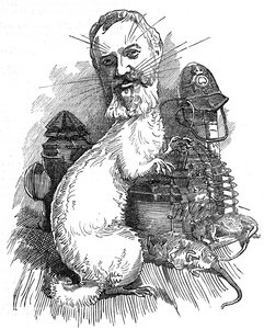 Adolphus 'Dolly' Williamson by Edward Linley (after) Sambourne
