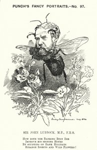 Yumruk karikatür: John Lubbock by Edward Linley (after) Sambourne