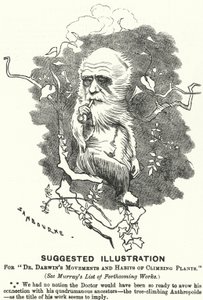 Yumruk karikatürü: Dr Darwin