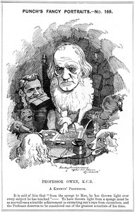 Richard Owen, İngiliz zoolog, 1884 by Edward Linley Sambourne