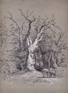 Ağaç ile manzara by Edward Pretty