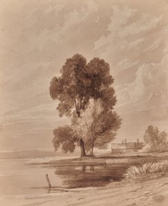 Ağaçlar ile manzara