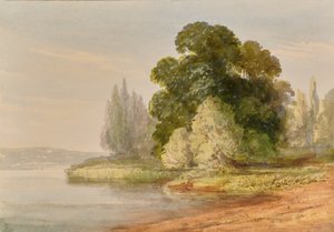 Ağaçlar ile manzara by Edward Pretty