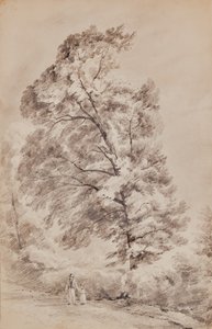 Ağaçlar ile manzara by Edward Pretty