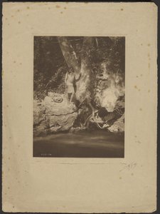  by Edward S. Curtis