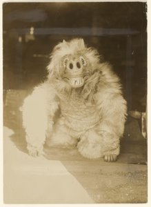  by Edward S. Curtis