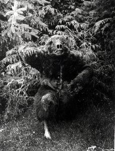 Nane-Qagyuhl, Kızılderili kostümü by Edward Sheriff Curtis