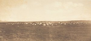 Güneş Dansı Kampı - Piegan, 1900. by Edward Sheriff Curtis