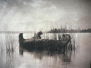 The Rush Gatherer, Montana (s/b fotoğraf) by Edward Sheriff Curtis