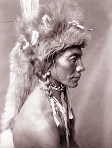 Sarı Böbrek, Piegan by Edward Sheriff Curtis