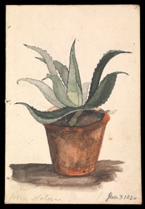  by Edward William Cooke