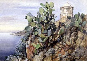 Kaktüs dikenli armut, Monako by Edward William Cooke