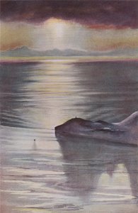 Gözlem Tepesinden Kulübe Noktası, 1911, 1913. by Charles Edward Wilson